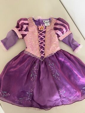Disney Purple and Pink Rapunzel Princess Dress Costume